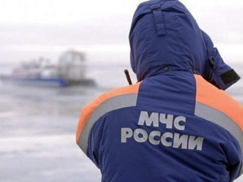 Владивостокцы замерзали в машине в ночном лесу
