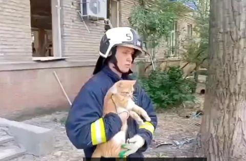 Кота спасли из завалов жилого дома в Луганске