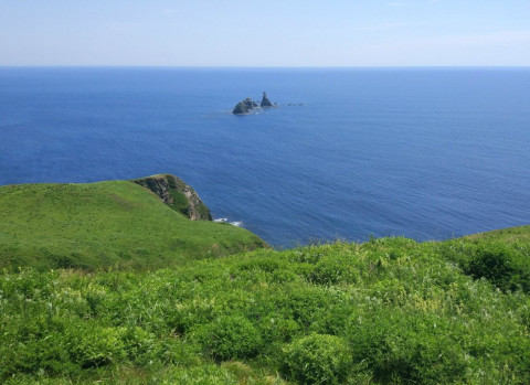 Диагноз COVID-19 подтвердился у одного из мэров в Приморье