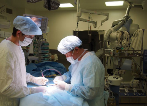 Пластические хирурги назвали самую популярную у россиянок операцию