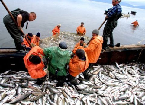 Психушки, театры и лесничество: вариантов альтернативной службы в России стало больше