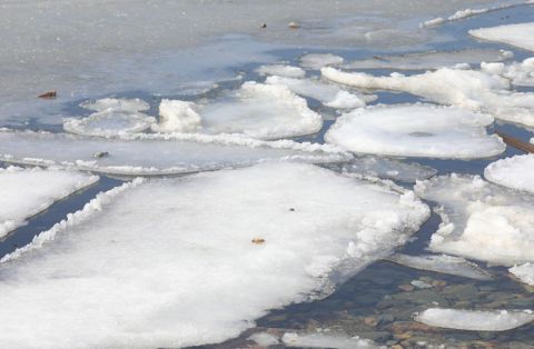По Севморпути впервые в истории пройдет полноценный транзитный рейс