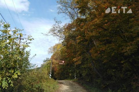 Приморье накроет облаками, но дождей не ожидается