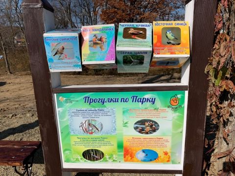 Спикер краевого парламента помог благоустроить сквер жителям Владивостока 