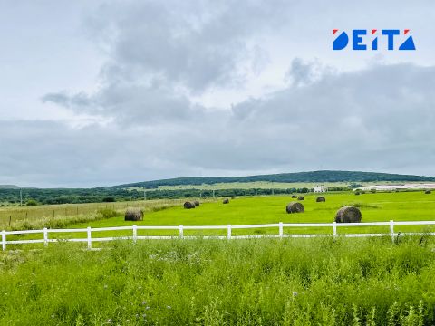 Общее цифровое решение для АПК: как в России модернизируют сельское хозяйство