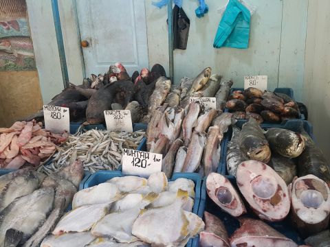Рыба застыла на приморских рынках