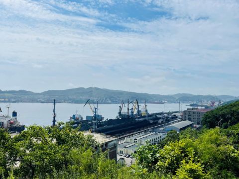 Росрыболовство подключили к расследованию гибели рыб в акватории Находки