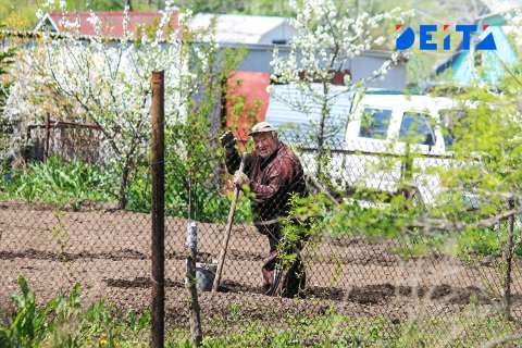 Медик рассказал, кому вредно слишком усердно работать на даче
