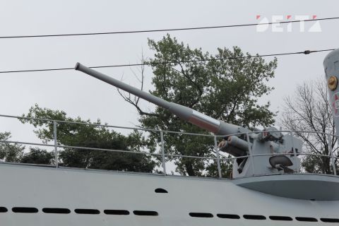 Россияне назвали самую популярную книгу о войне