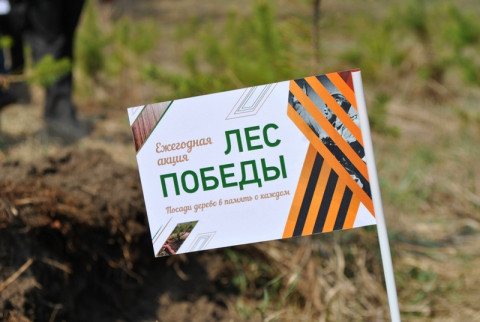 Приморцы смогут высадить «Лес Победы»