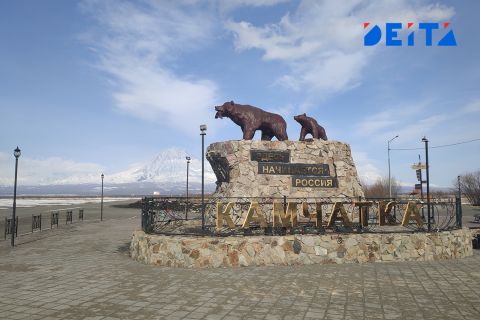 Режим повышенной готовности ввели на Камчатке в связи с сезонным нашествием медведей