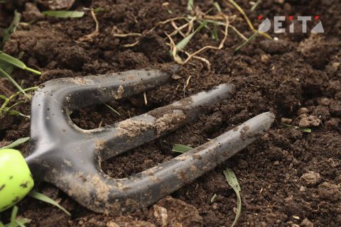 Всего три года: дачников предупредили о важных изменениях