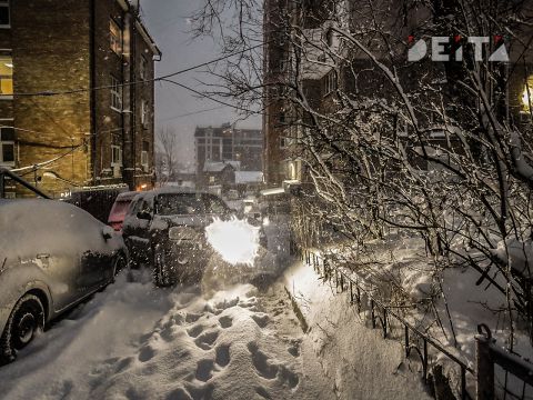Климатическая аномалия ожидается в Приморье