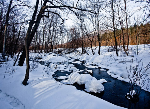 Дальнему Востоку прогнозируют разрушительные паводки
