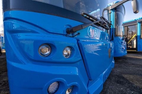 Бесплатные автобусы отвезут участников викторины в День России на остров Русский