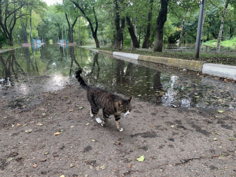 Вода уходит из Уссурийска