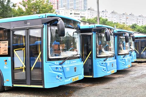 Новый автобусный маршрут готовятся запустить во Владивостоке