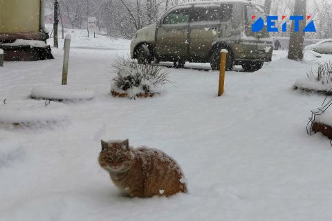 Дату первого снега во Владивостоке назвали синоптики