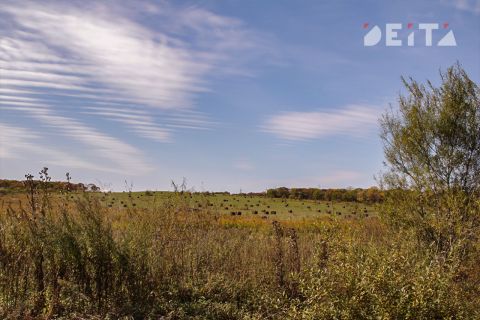 Росреестр: границы города Спутника пока неизвестны 
