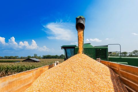 Аграрные учебные заведения России получат новую сельхозтехнику