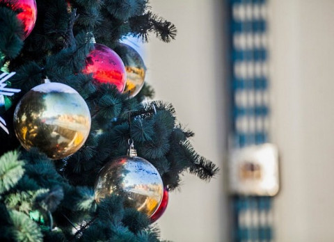 Идею добавить две недели к новогодним праздникам оценили в Совфеде