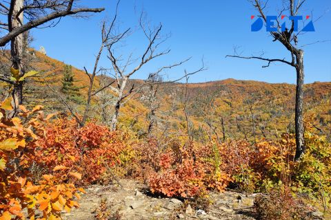 Циклон принесет в Приморье потепление