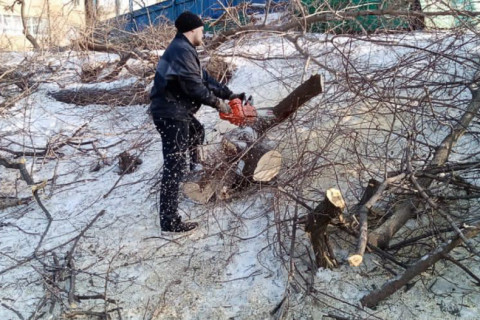 Более 500 тонн веток вывезли с улиц Владивостока 