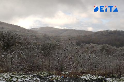 Холодная пятница без сюрпризов ожидает Приморье