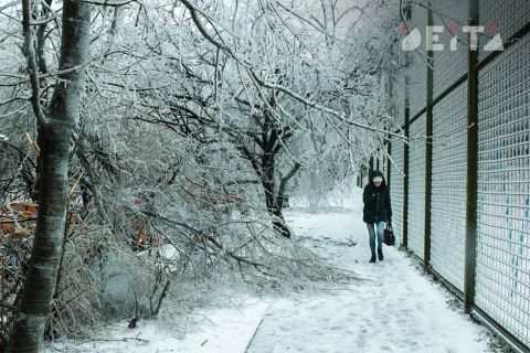 Морозы до -37 °C передают в Приморье на рабочей неделе