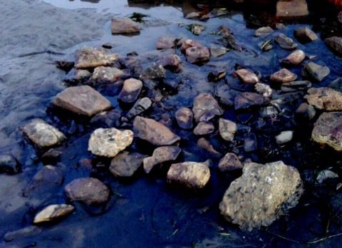 Скандальный контейнеровоз загрязнил воды Приморья на полмиллиарда 