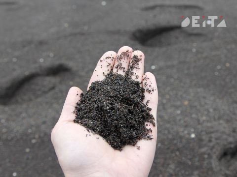 Бизнес на катаклизме: пепел от камчатского вулкана скупают задорого