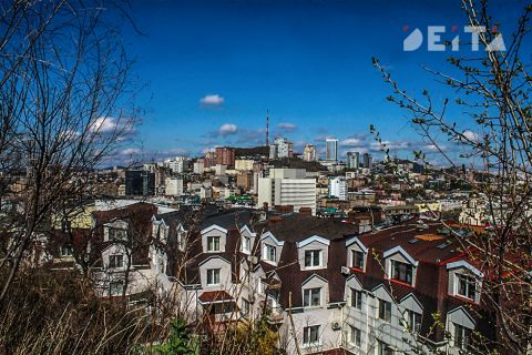 Брата депутата Госдумы задержали по делу о махинациях с недвижимостью во Владивостоке