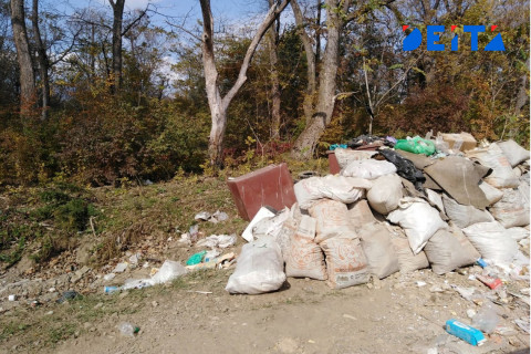 Труп на свалке обнаружили в Приморье