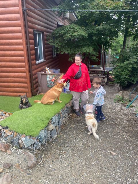 Собаки ждут ласки: жителей Владивостока приглашают на «Семейные выходные с Умкой»