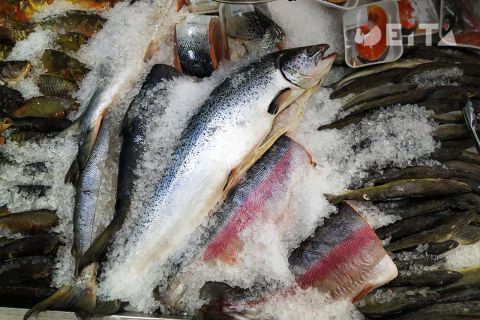 Приморцы обогнали россиян на 10,6 килограммов