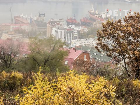 Во вторник в Приморье будет облачно и сыро