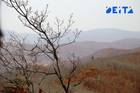 Насколько циклон испортит погоду в Приморье на выходных, рассказали синоптики