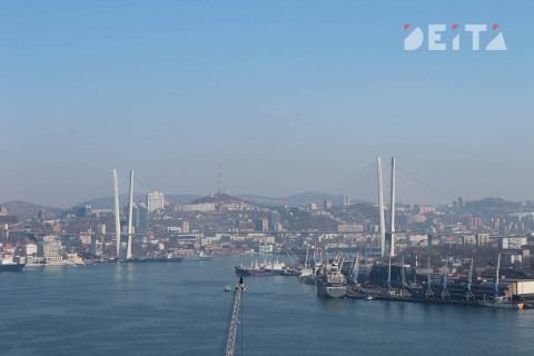 Владивостокский рыбный порт любит кататься, но не саночки возить