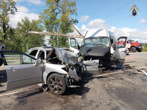 Виновник смертельного ДТП с рейсовым автобусом умер до суда в Приамурье