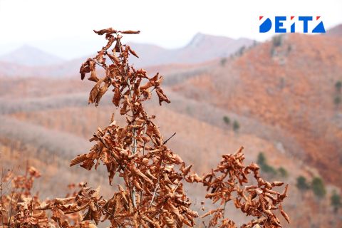 Снег уйдет из Приморья, но холода останутся