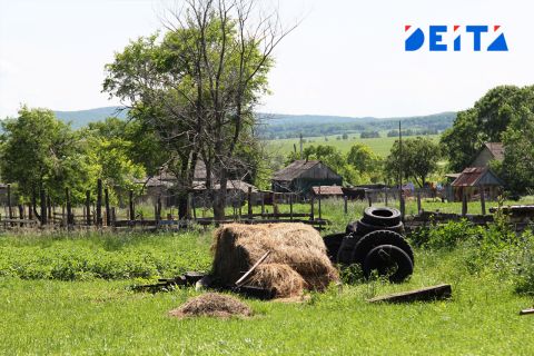 Мошенница из Приморья отобрала участок земли у ветерана труда