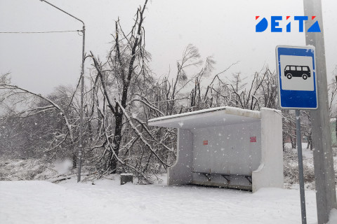 Похолодание ждёт Приморье в четверг