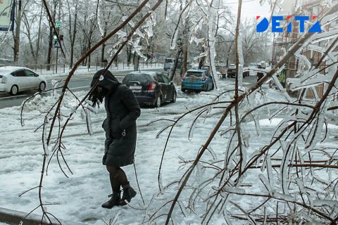 «Будет повторяться всё чаще»: чем грозит россиянам слишком тёплая зима