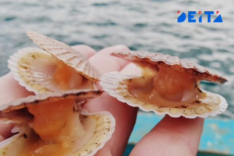 Глава Росрыболовства Илья Шестаков посетит Приморье