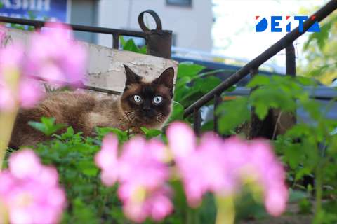 До +30 сегодня будет припекать в Приморье