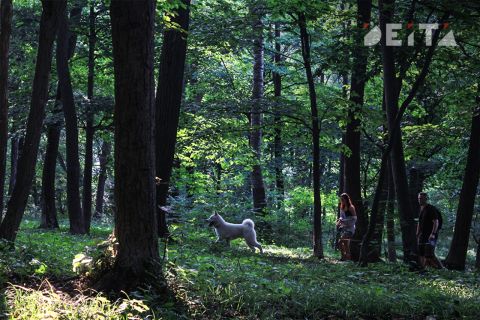 Воздух Приморья прогреется до 31 °C в четверг
