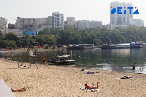Токсичные водоросли обнаружили в акватории Владивостока
