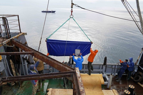 Правительство хочет отобрать берега у дальневосточных рыбаков