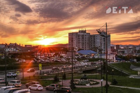Выпускники программы «Муравьев-Амурский» выбирают Приморье 