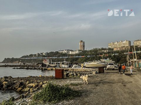 Кто виноват в фекальных запахах Второй Речки, рассказали в "Примводоканале"